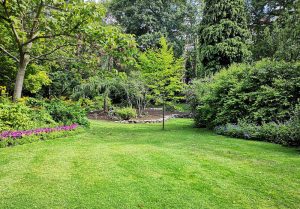 Optimiser l'expérience du jardin à Rapsecourt
